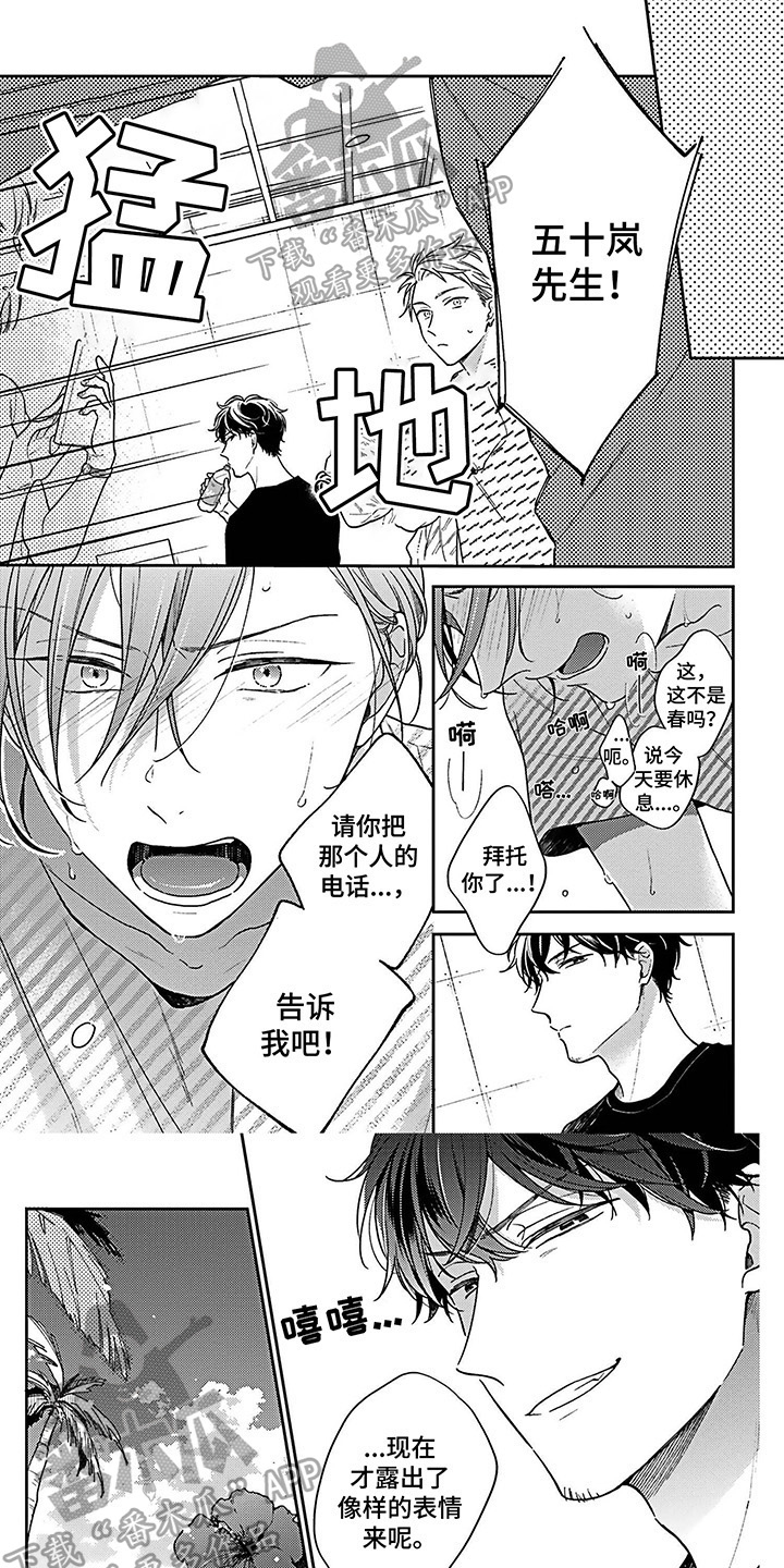 《爱在夏天》第17章通话 第1页