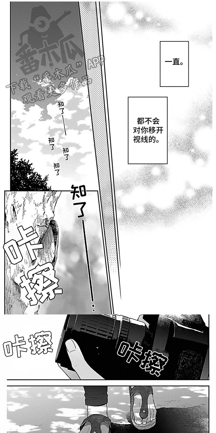 《爱在夏天》第21章爱的夏天【完结】 第1页