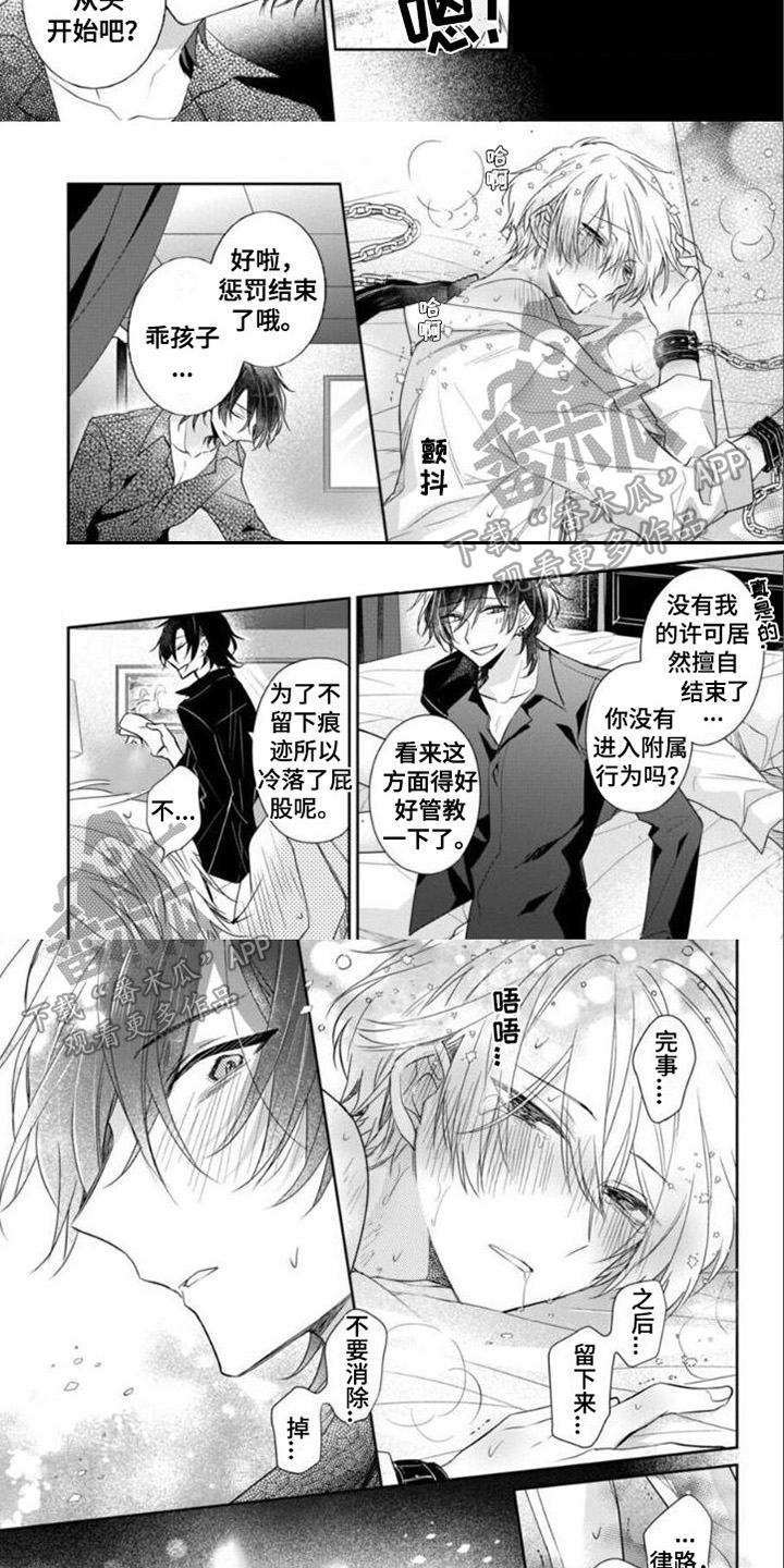 《支配末路》第12章只属于我 第2页