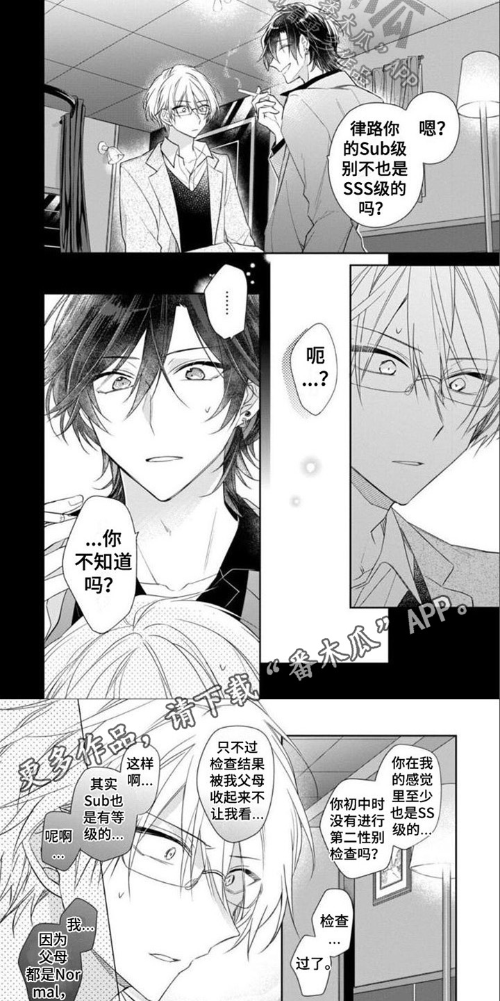 《支配末路》第10章等级 第5页