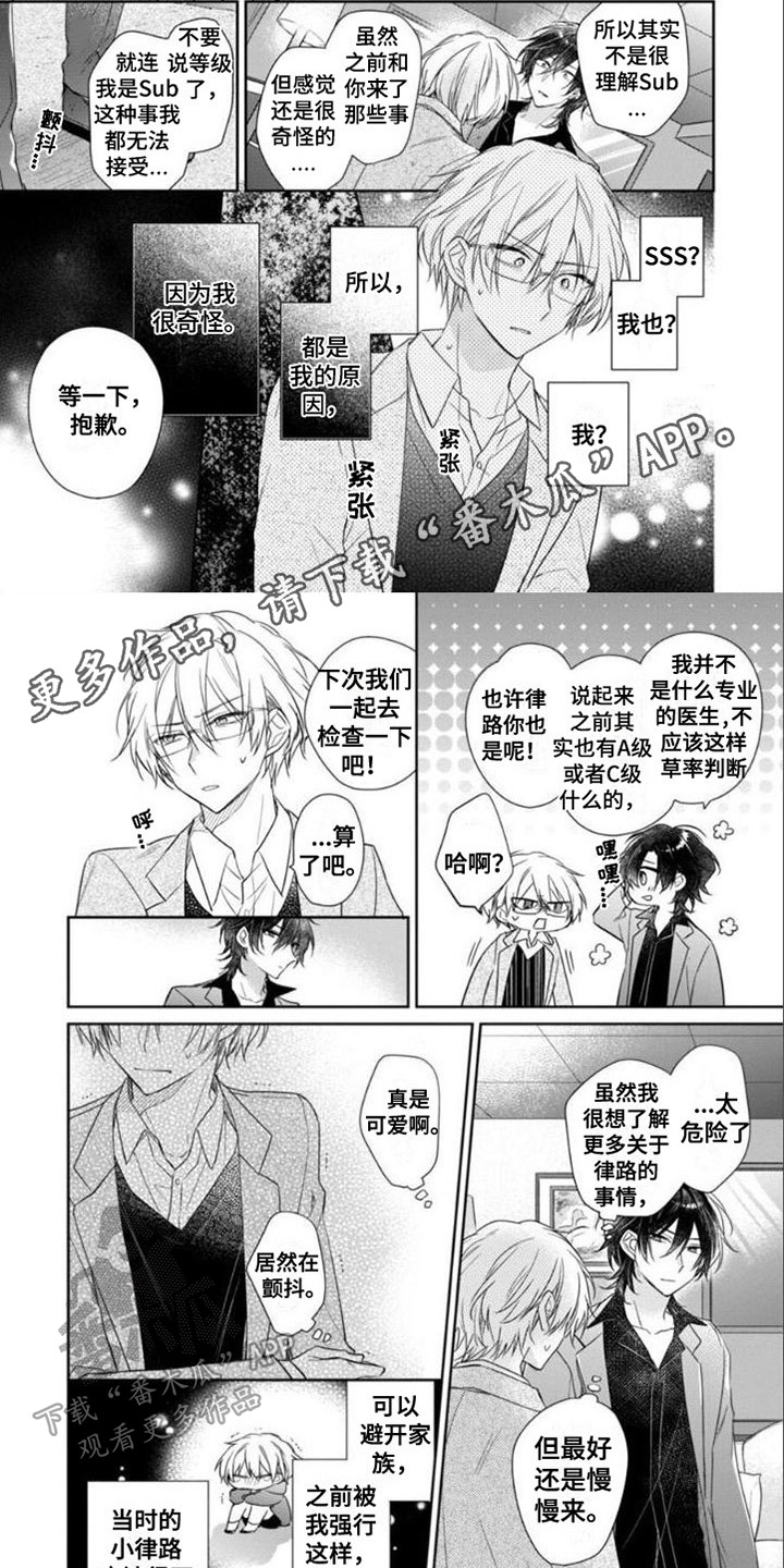 《支配末路》第11章命令 第1页