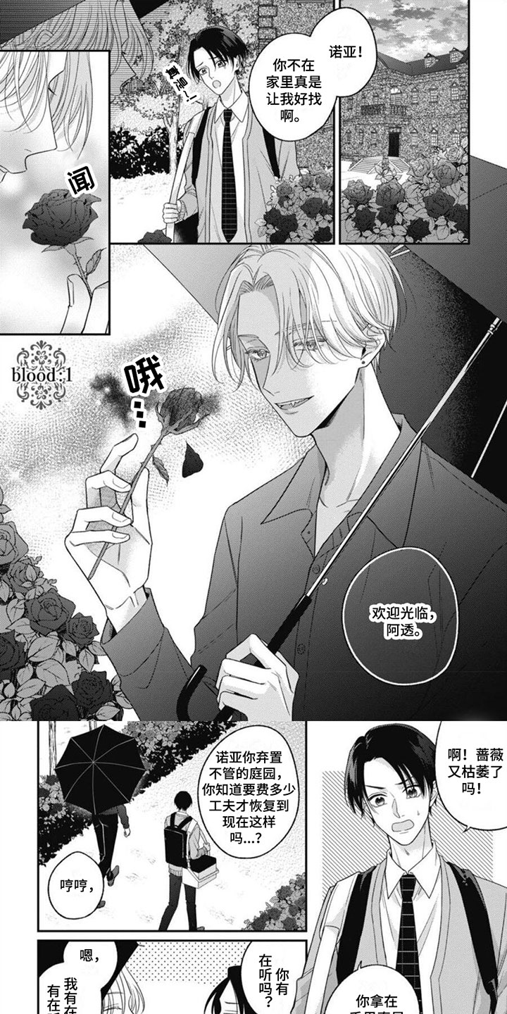 《我的吸血鬼》第1章他是吸血鬼 第1页