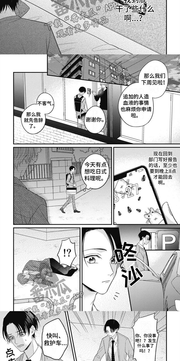 《我的吸血鬼》第6章被袭击了 第2页