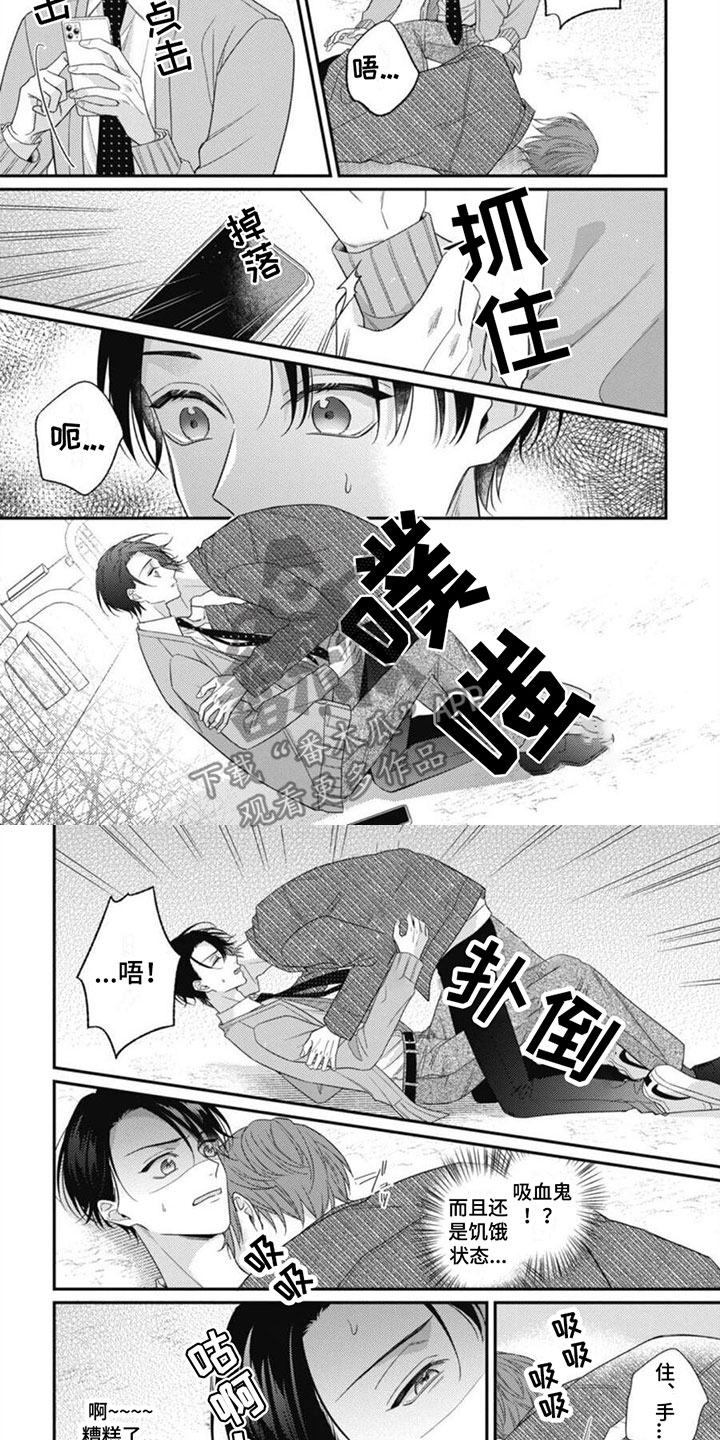 《我的吸血鬼》第6章被袭击了 第3页