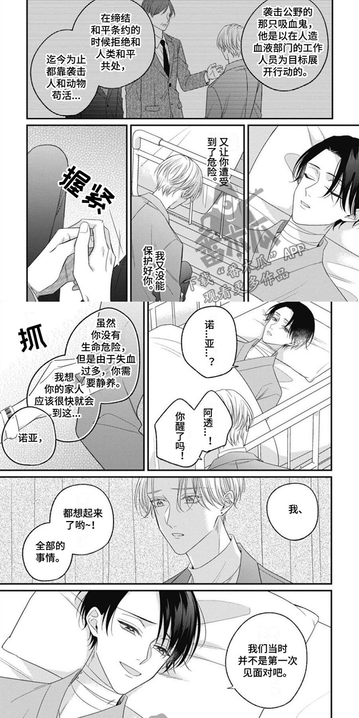 《我的吸血鬼》第9章醒来回忆 第2页