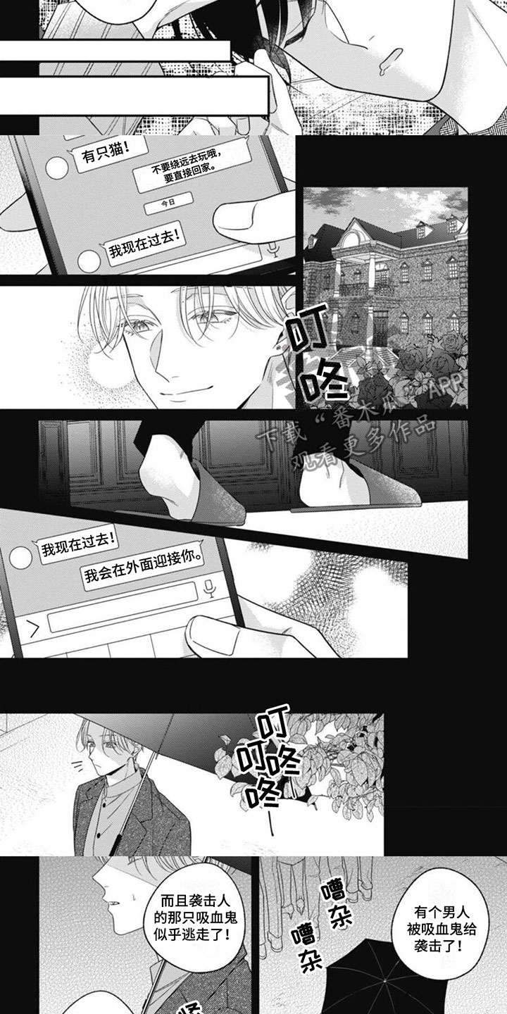 《我的吸血鬼》第8章再次相遇 第3页