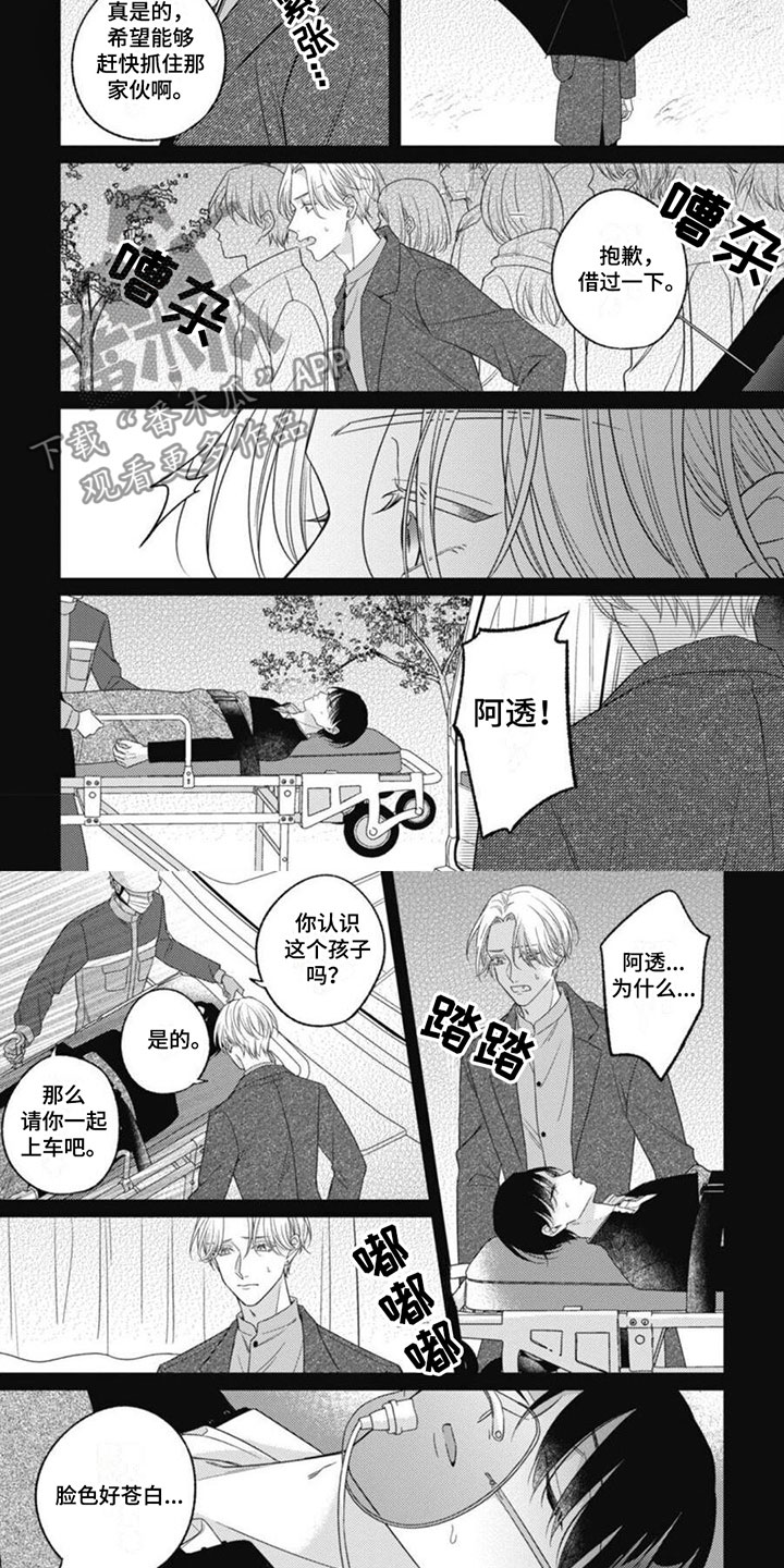 《我的吸血鬼》第8章再次相遇 第4页