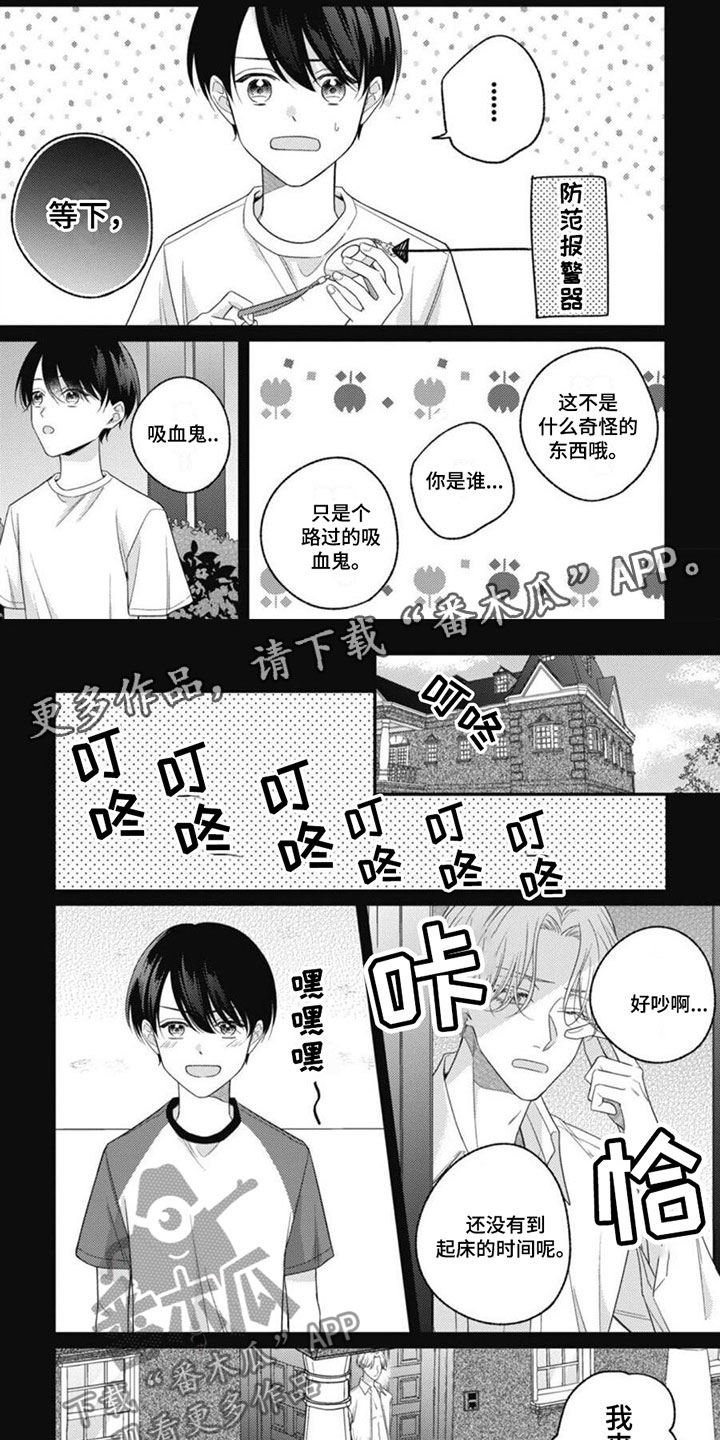 《我的吸血鬼》第7章生存的意义 第1页