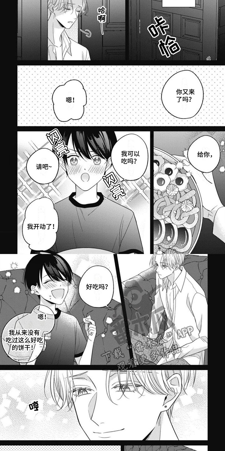 《我的吸血鬼》第7章生存的意义 第3页