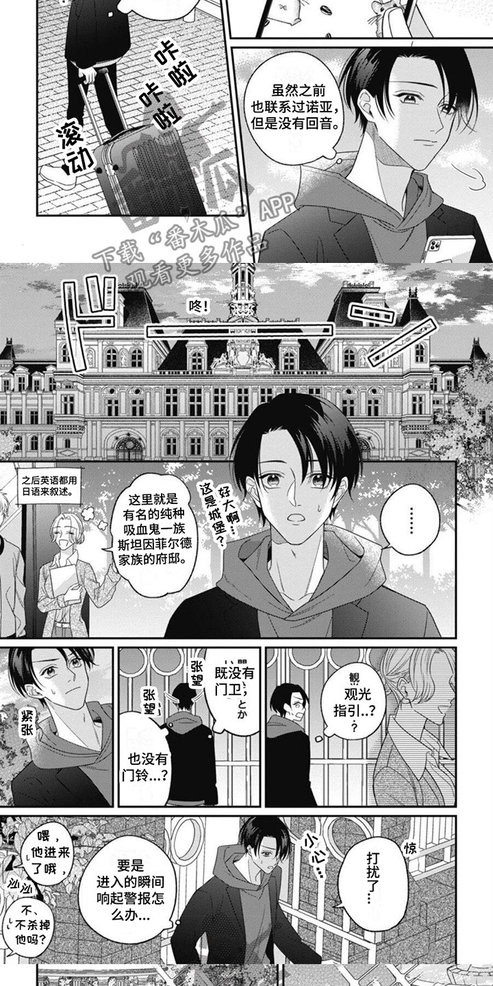 《我的吸血鬼》第11章他的哥哥 第5页