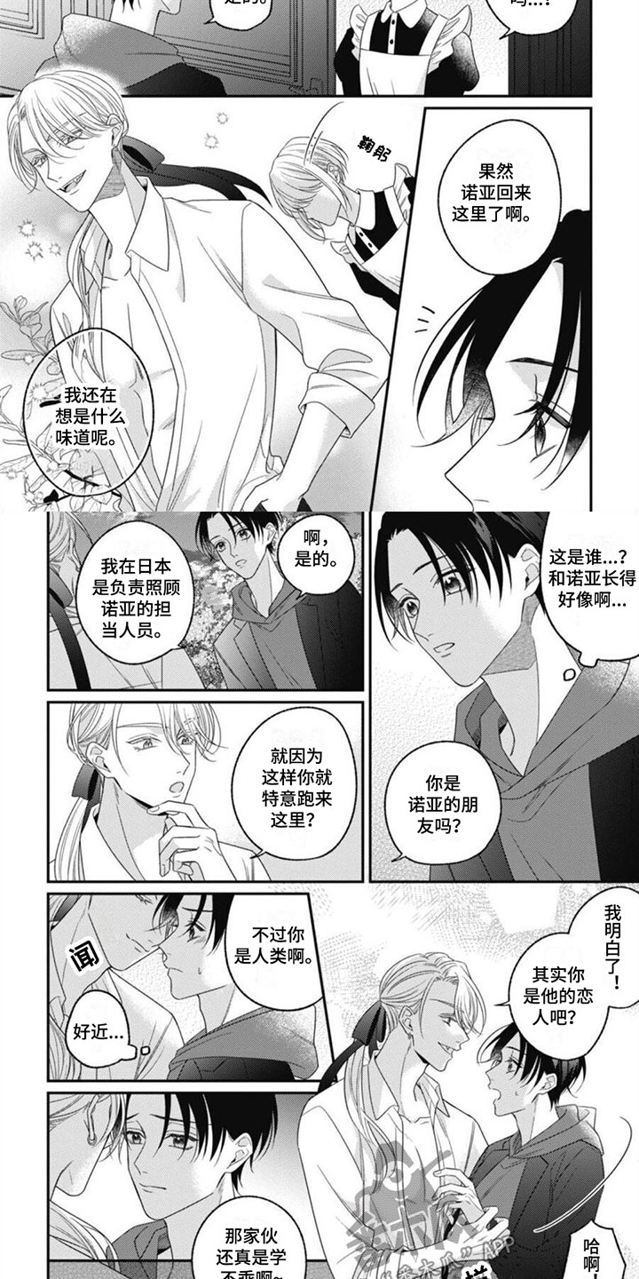 《我的吸血鬼》第11章他的哥哥 第7页