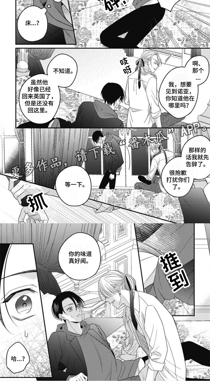 《我的吸血鬼》第11章他的哥哥 第9页