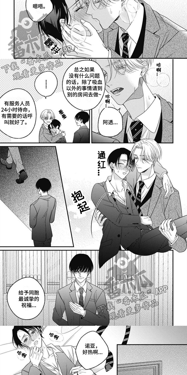 《我的吸血鬼》第15章共度余生 第7页