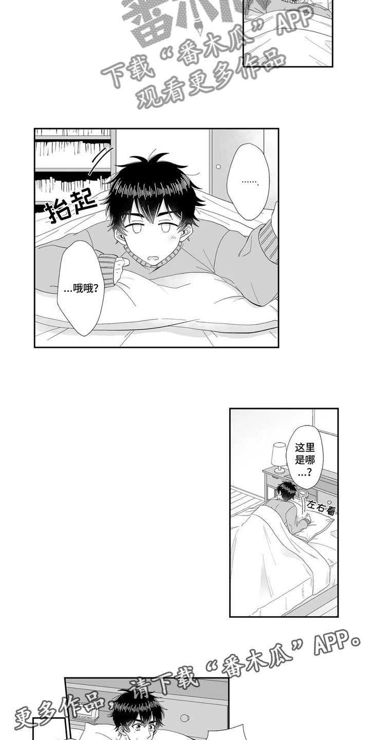 《被高规格帅哥撩到》第12章睡着 第9页