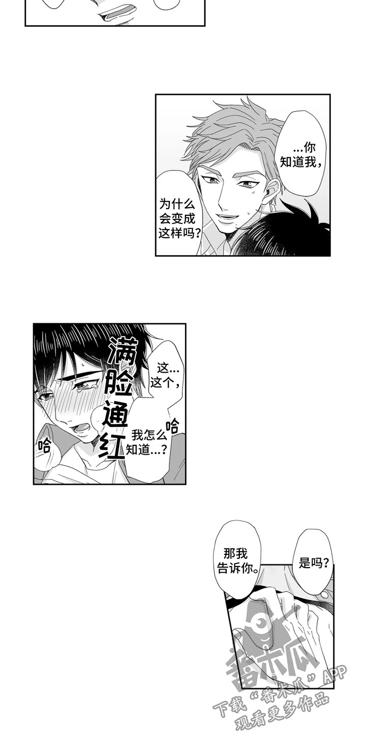 《被高规格帅哥撩到》第11章沉沦 第4页