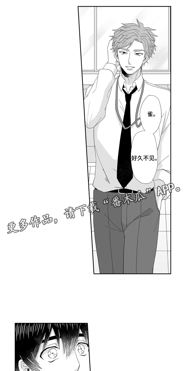 《被高规格帅哥撩到》第20章表白 第1页