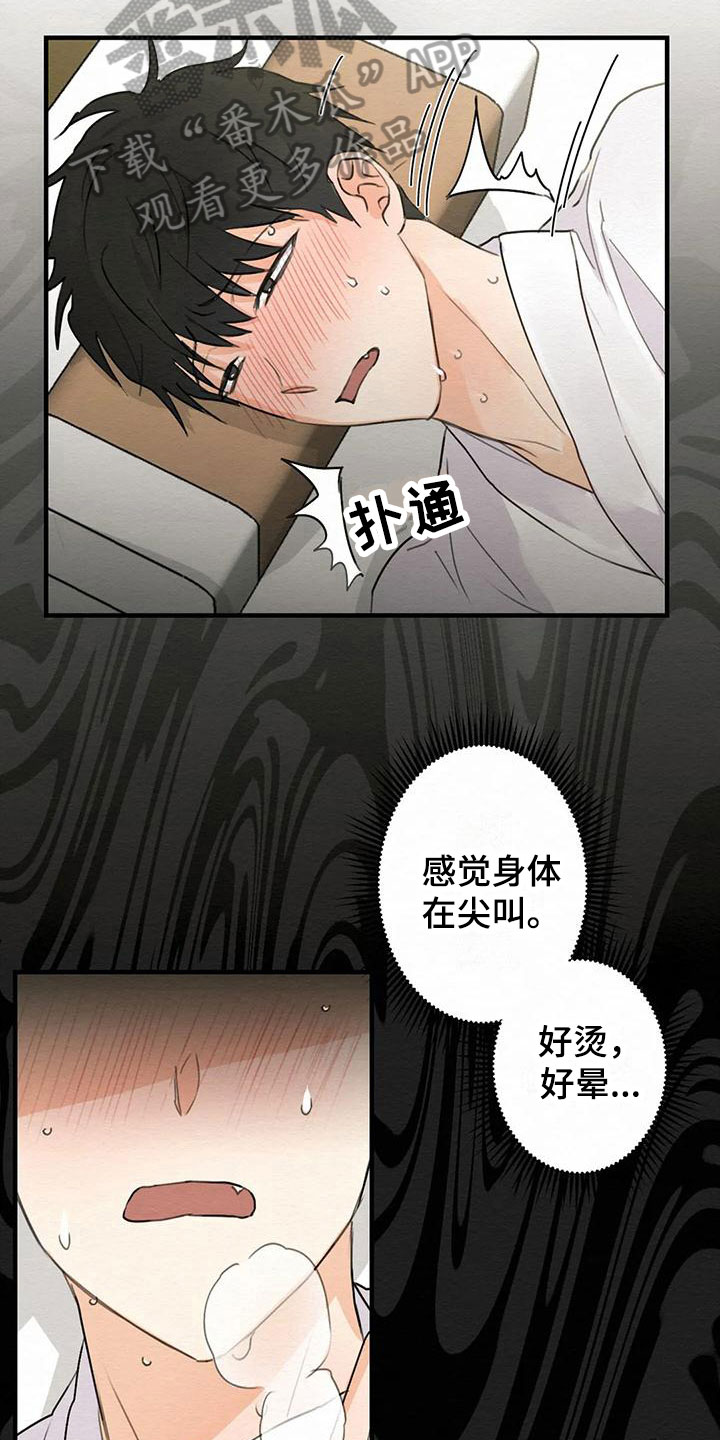 《糟糕的童话男篇》第4章金棒棒银棒棒没等到 第13页