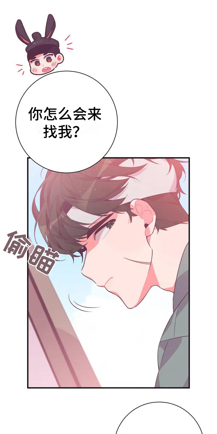 《糟糕的童话男篇》第10章兔子的处境传闻 第1页