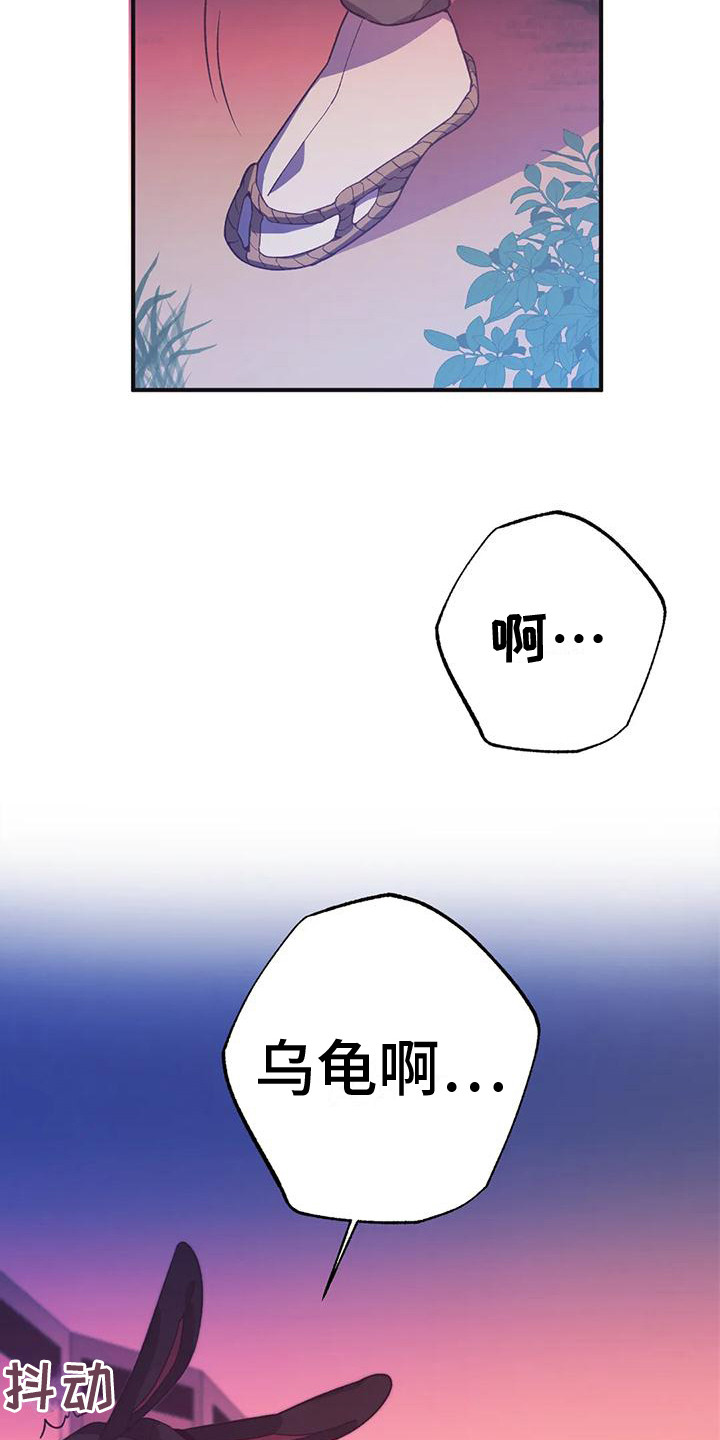 《糟糕的童话男篇》第13章兔子的处境等着瞧 第6页