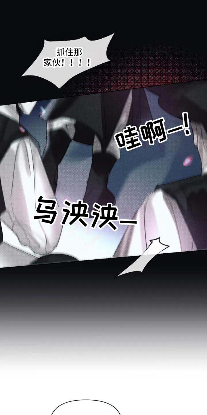 《鬼怪守护》第1章盗贼 第17页