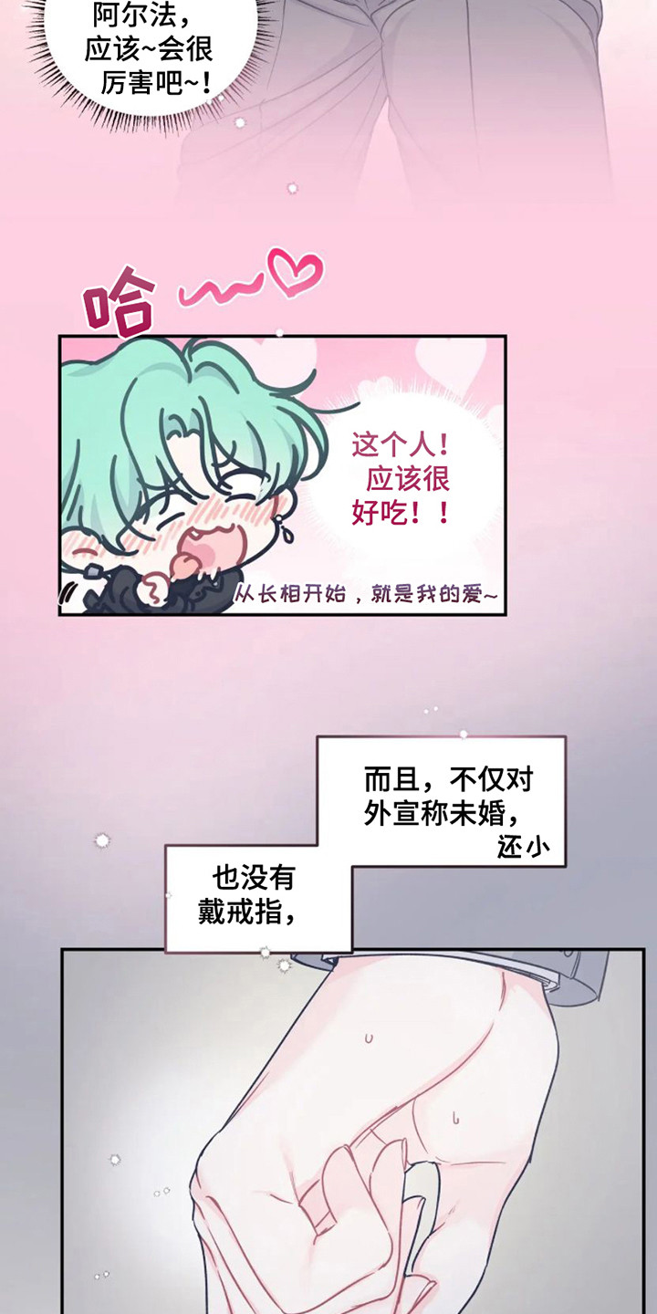 《爱意反转》第6章完美型 第13页