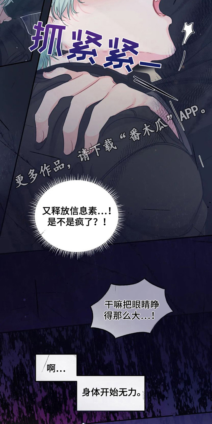 《爱意反转》第6章完美型 第5页