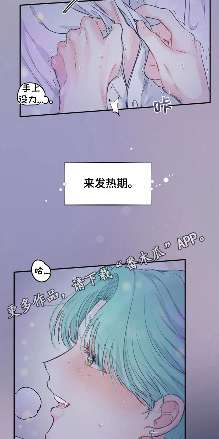 《爱意反转》第8章机会 第11页