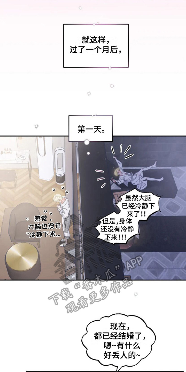 《爱意反转》第11章计划通 第17页