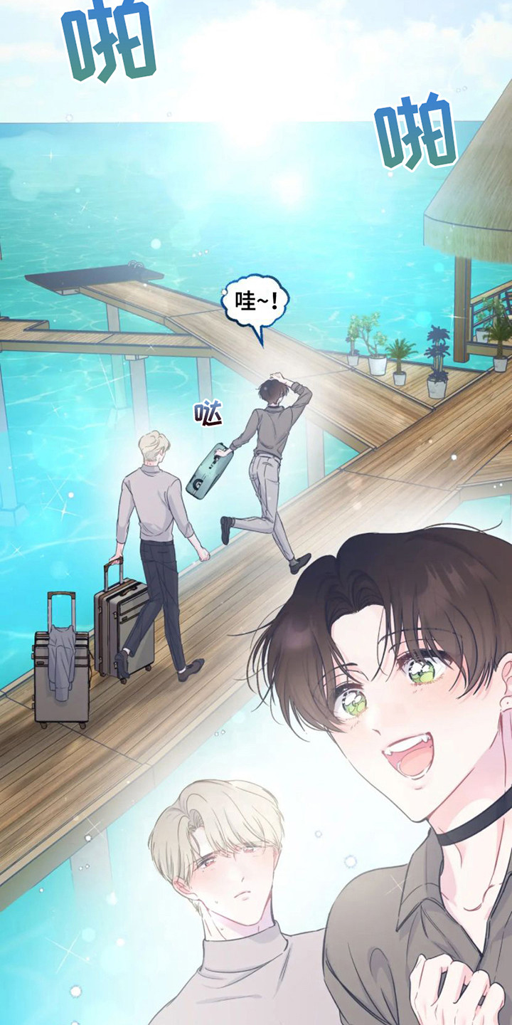 《爱意反转》第14章新婚旅行 第11页