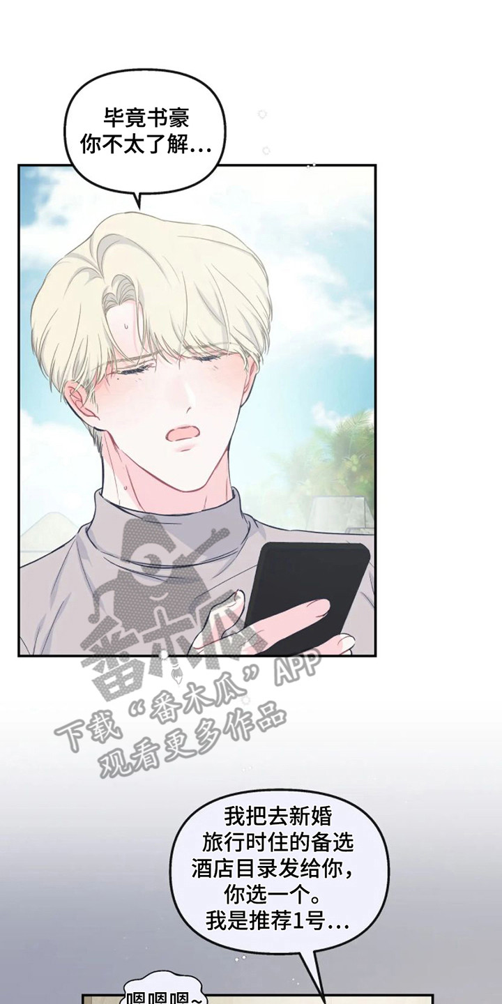《爱意反转》第14章新婚旅行 第15页