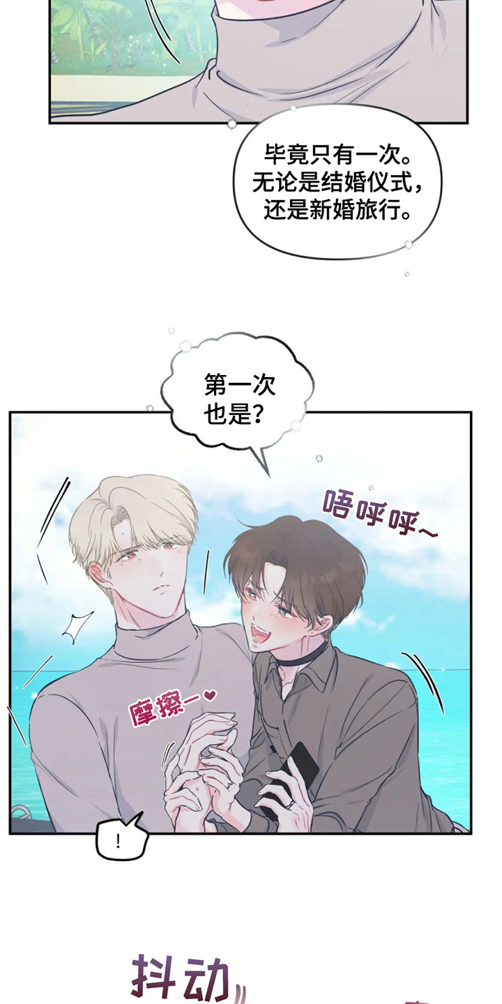 《爱意反转》第14章新婚旅行 第19页