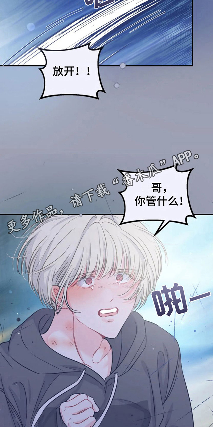 《爱意反转》第18章担忧 第11页