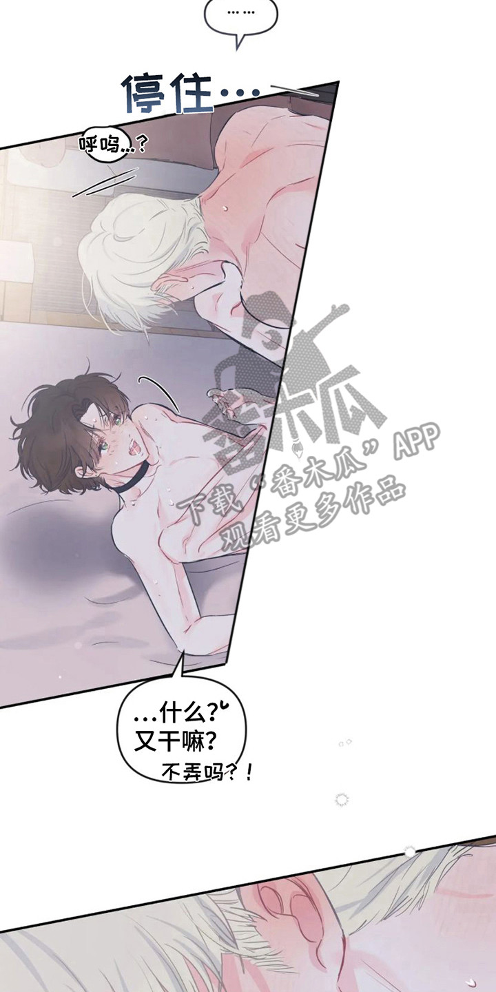 《爱意反转》第20章很喜欢 第13页