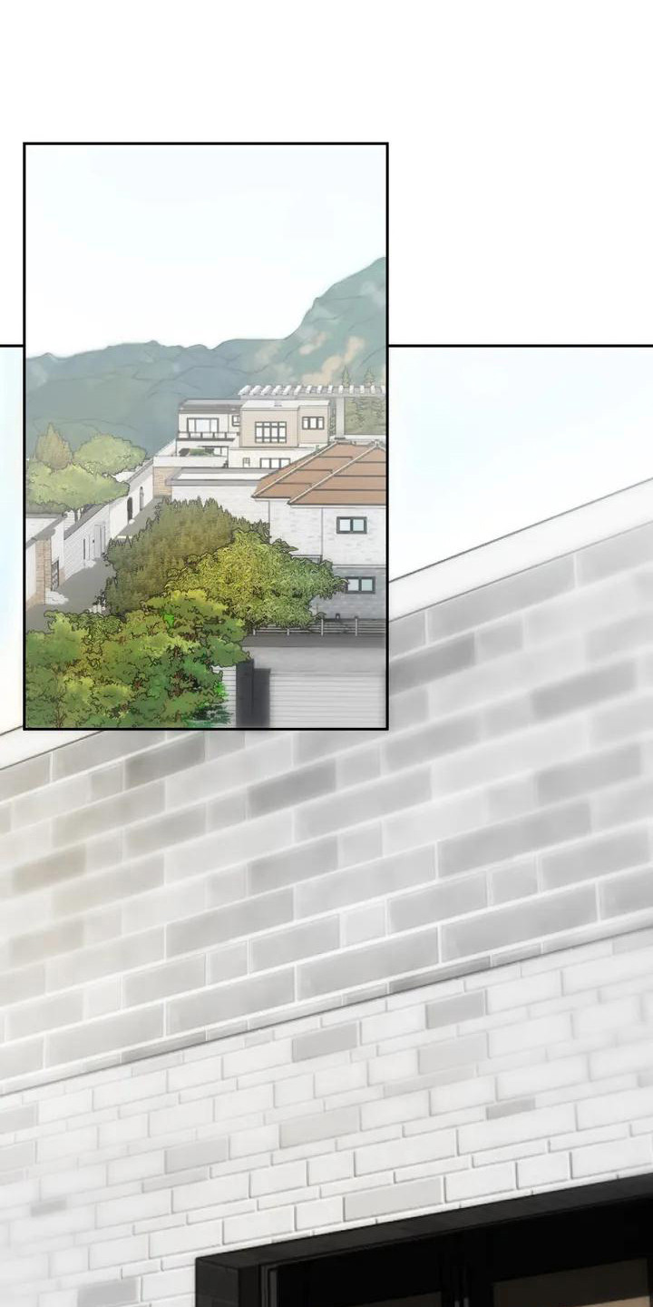 《继婚》第2章回忆 第1页