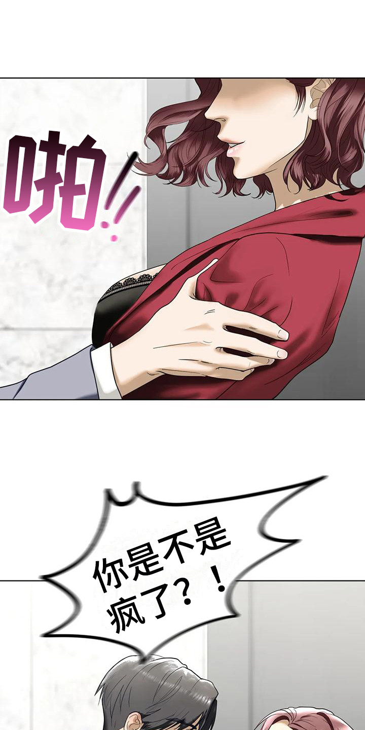 《继婚》第13章疯言疯语 第1页