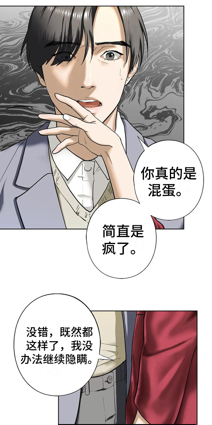 《继婚》第13章疯言疯语 第9页