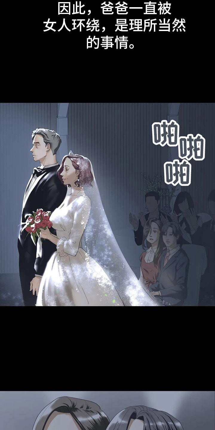 《继婚》第14章决心 第12页
