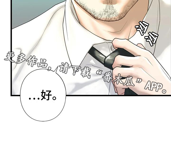 《继婚》第23章好奇 第11页