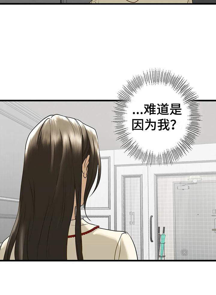 《继婚》第26章离开 第25页