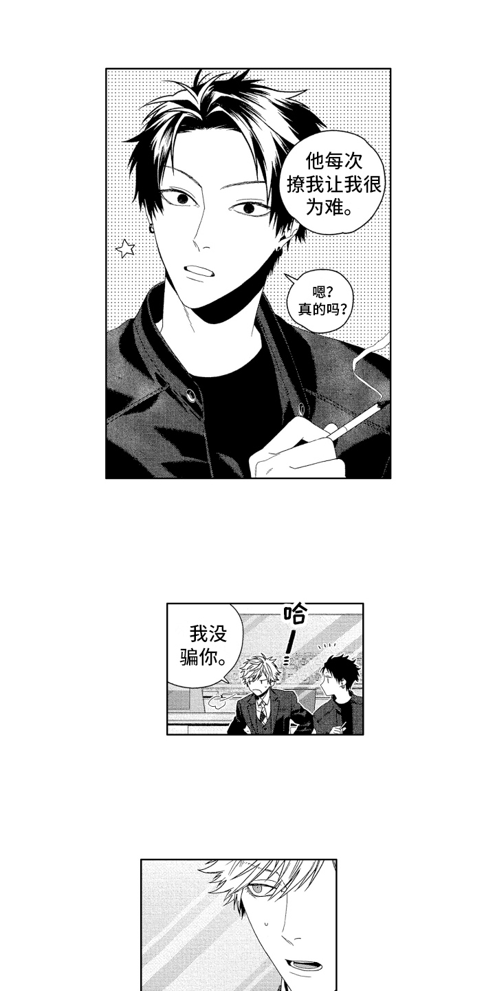 《这是我的恶习》第10章看法 第11页