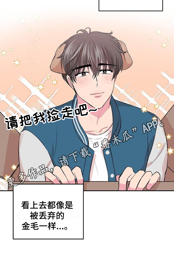 《小小炫耀》第5章逃离 第17页