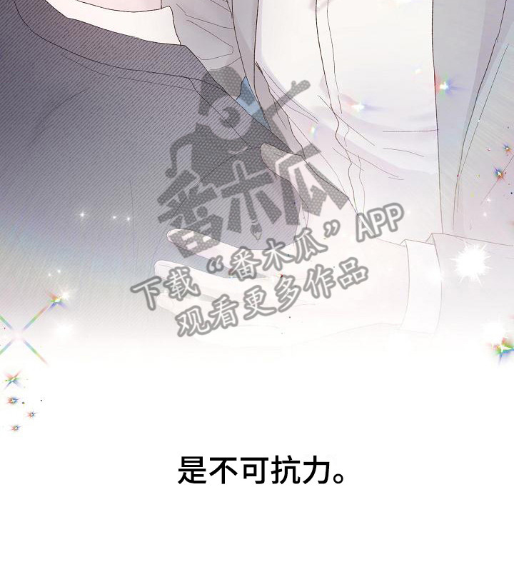 《久别重逢》第19章不可抗力 第17页