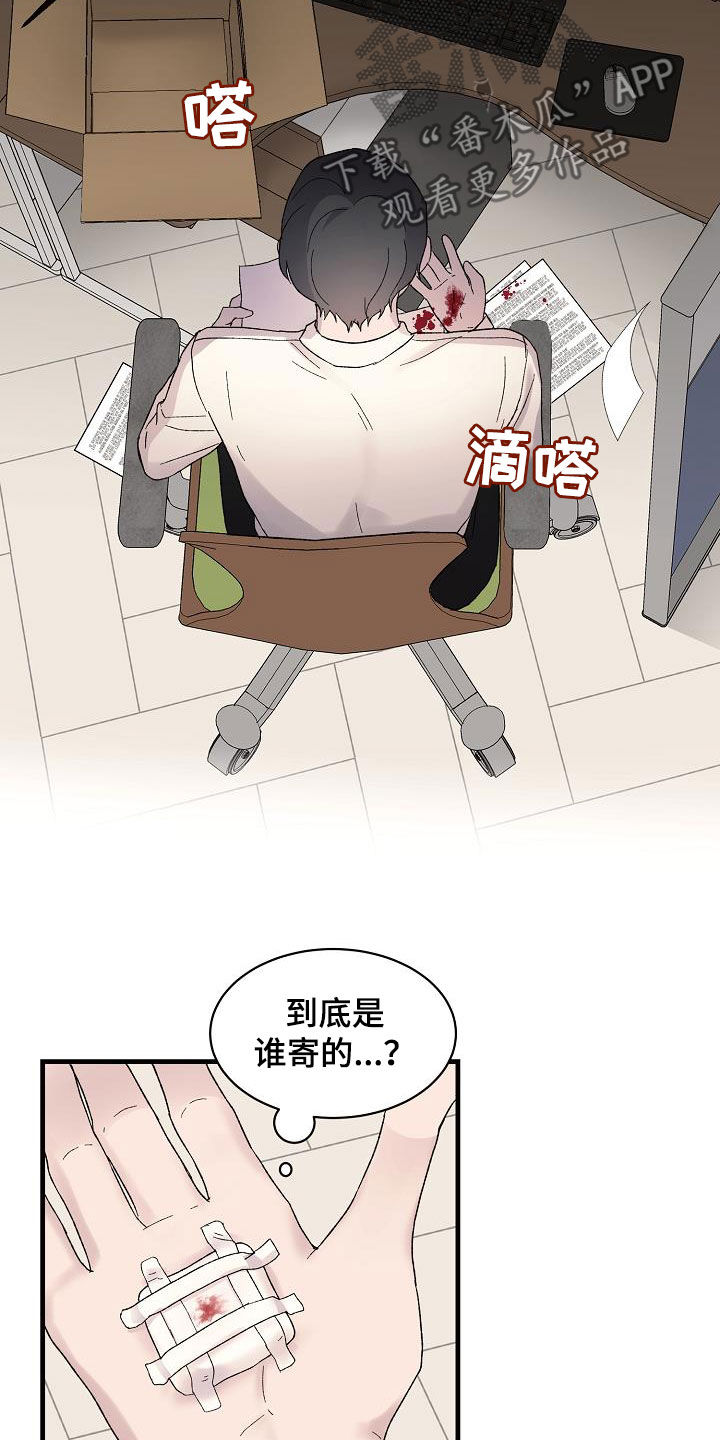 《久别重逢》第26章寄刀片 第15页