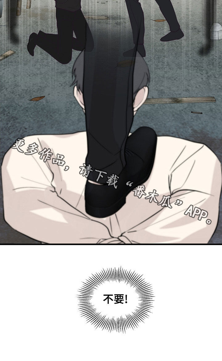 《久别重逢》第44章家产 第19页
