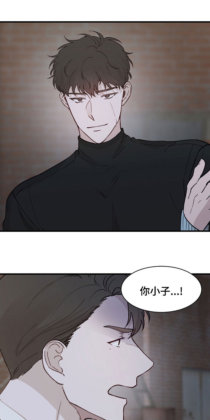 《久别重逢》第48章抓捕 第9页