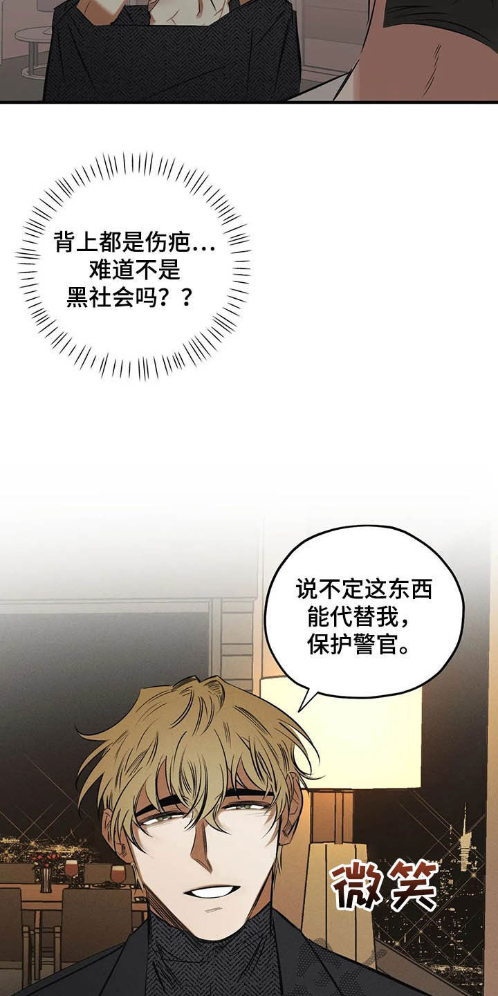 《罪恶的教职》第30章圣珠十字架 第9页