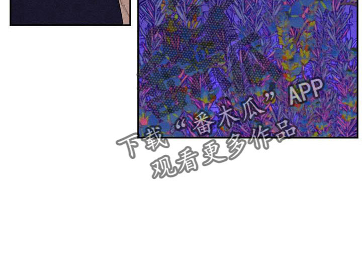 《罪恶的教职》第78章难以相信 第10页