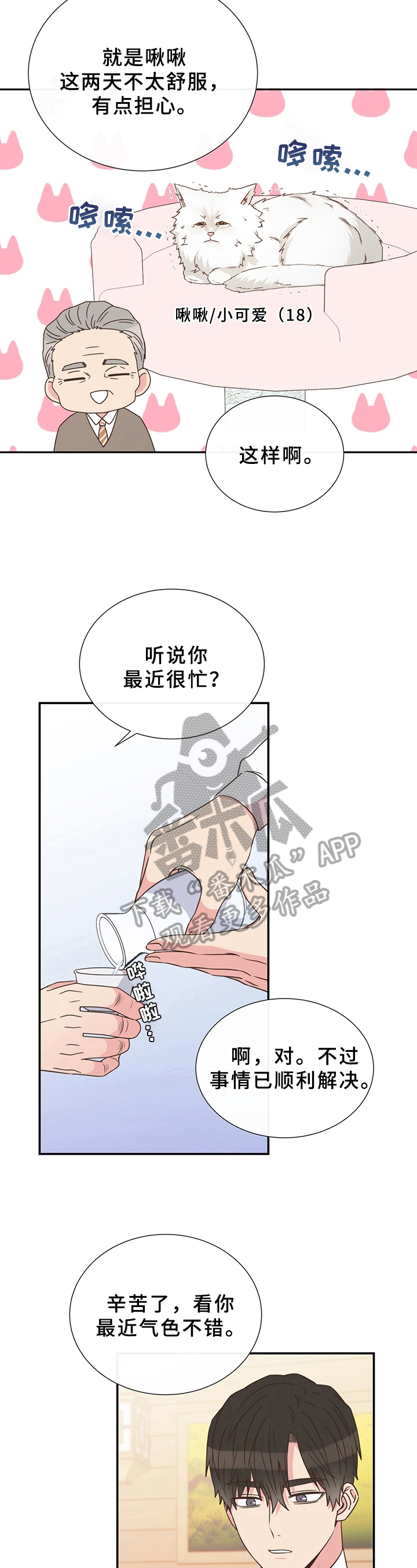 《美妙初恋》第17章猜测 第11页