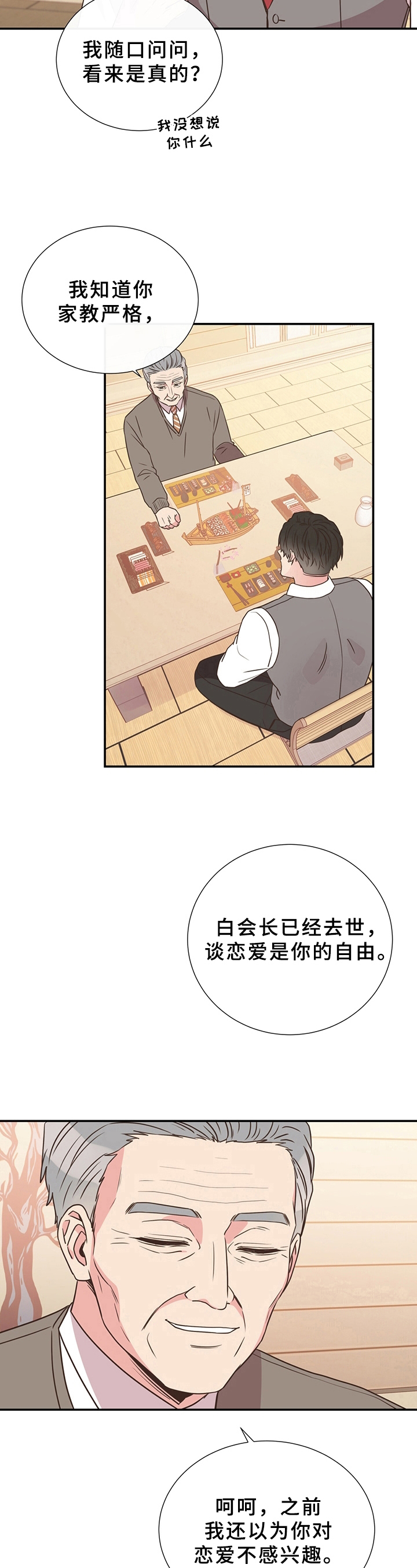 《美妙初恋》第17章猜测 第13页