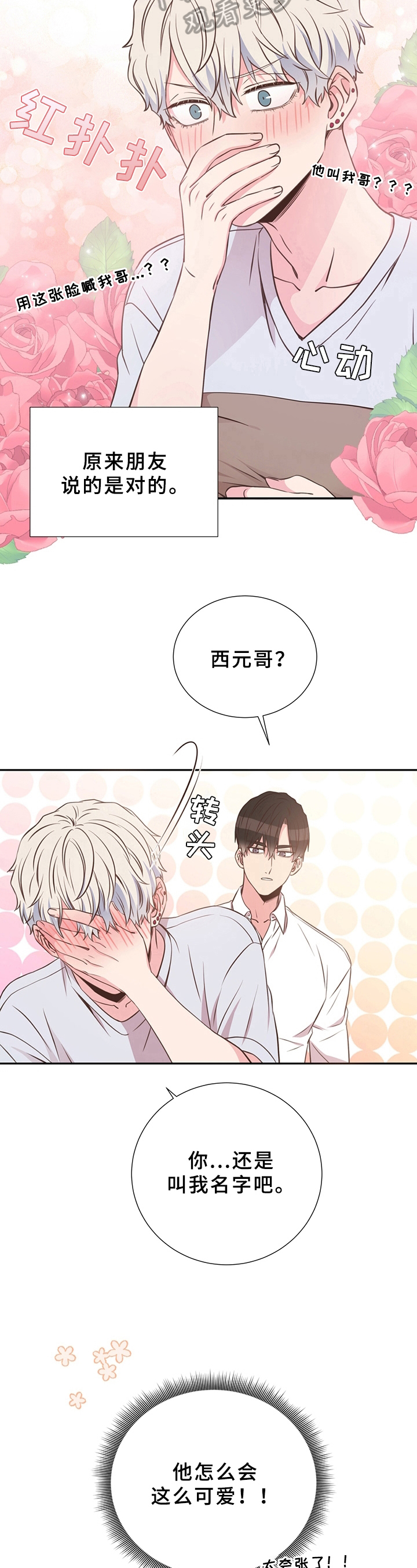 《美妙初恋》第28章称呼 第11页